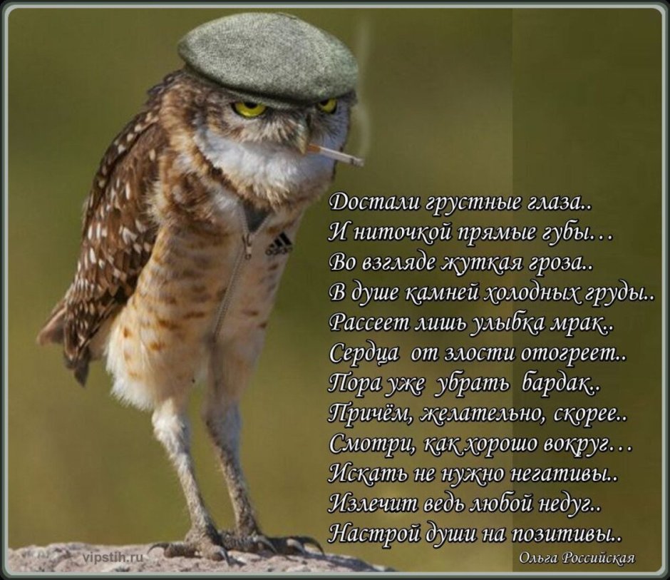 Ноги Филина