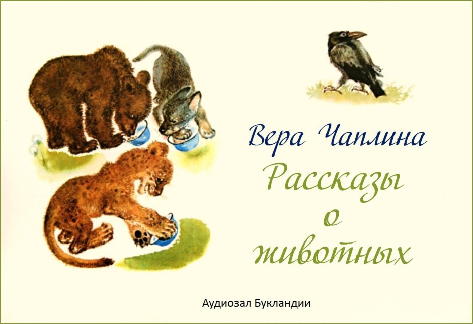 Я белый медведь Александр Архангельский книга