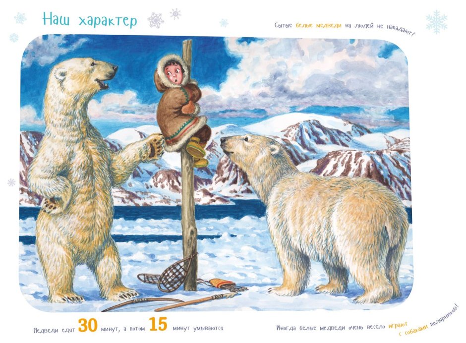 Белый Медвежонок сидит рисунок