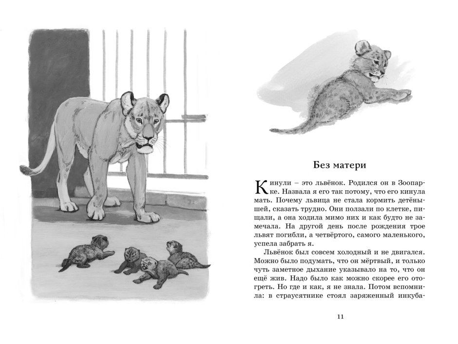 Медвежонок Фомка Вера Чаплина