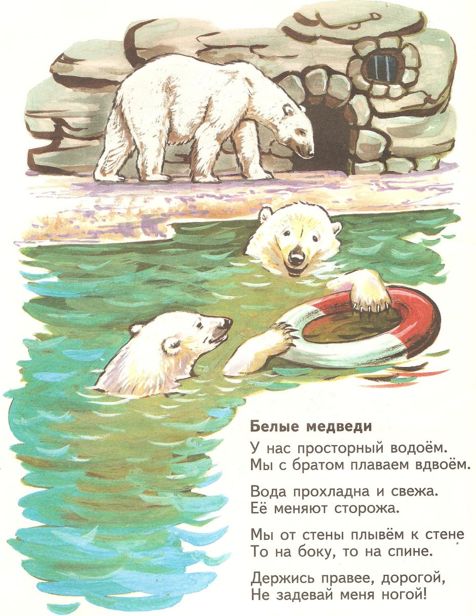Маршак детки в клетке белые медведи