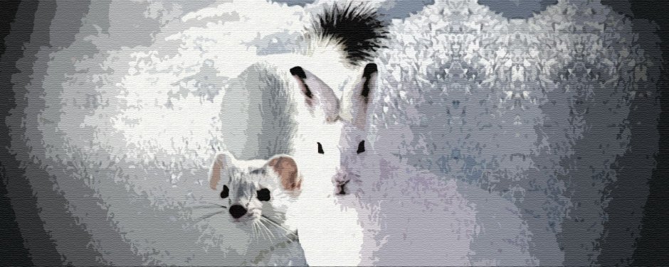 Алтайская народная сказка горностай и заяц
