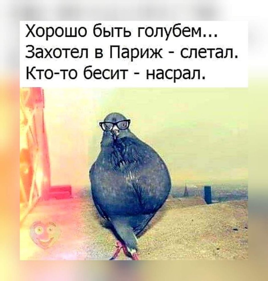 Накаченная птица