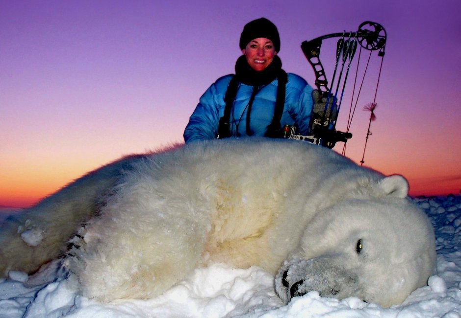 Белый медведь лежит