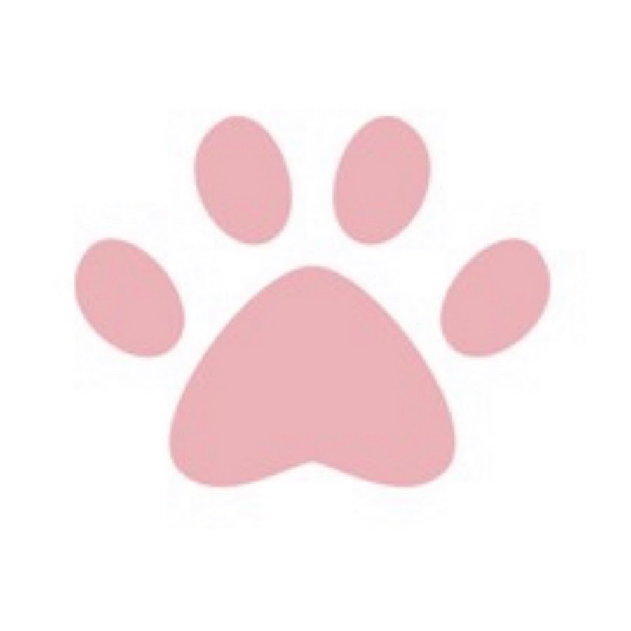 Розовые лапки кошки