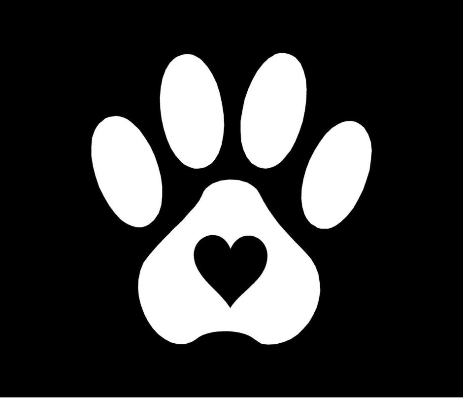 Отпечатки лап белые