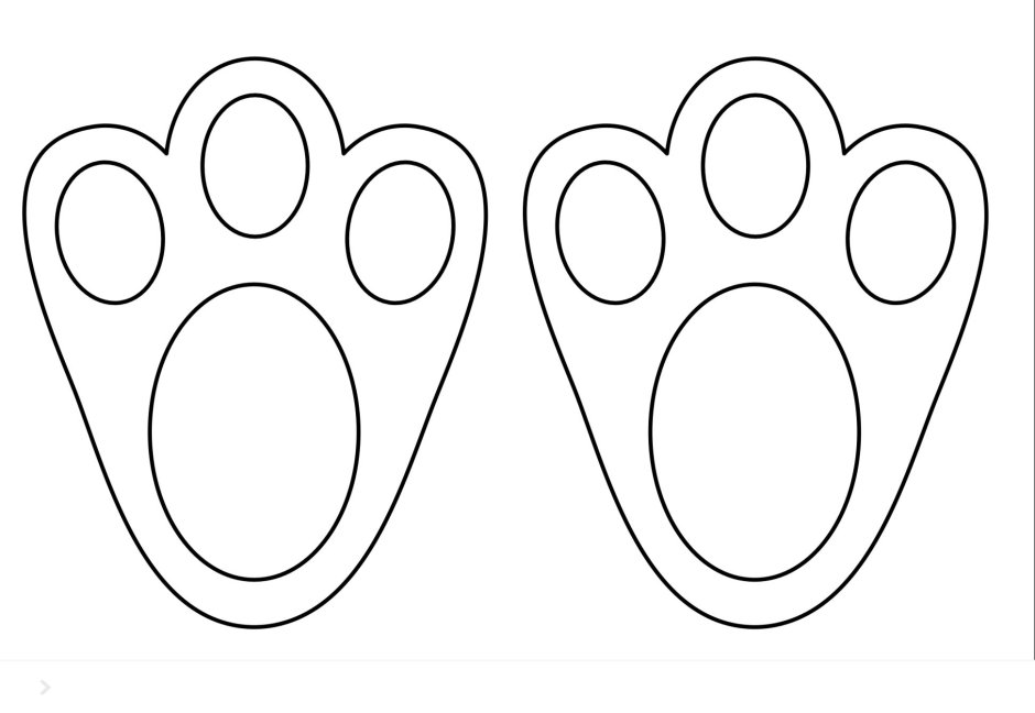 Лапки зайчика