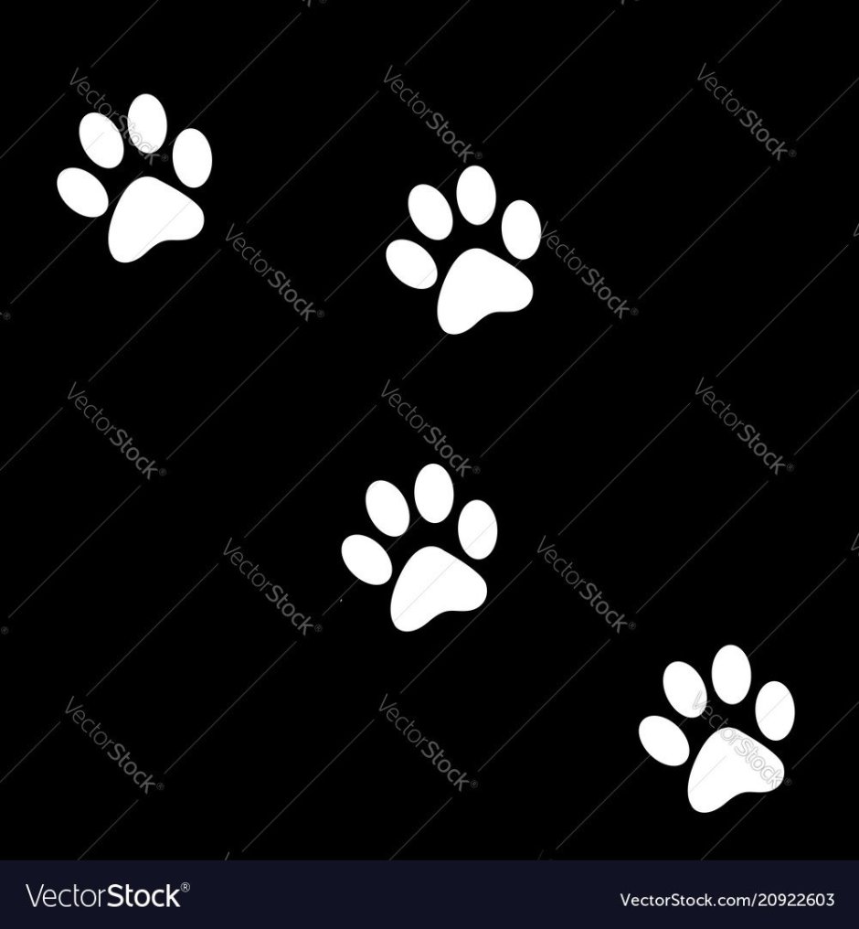 Следы лапок