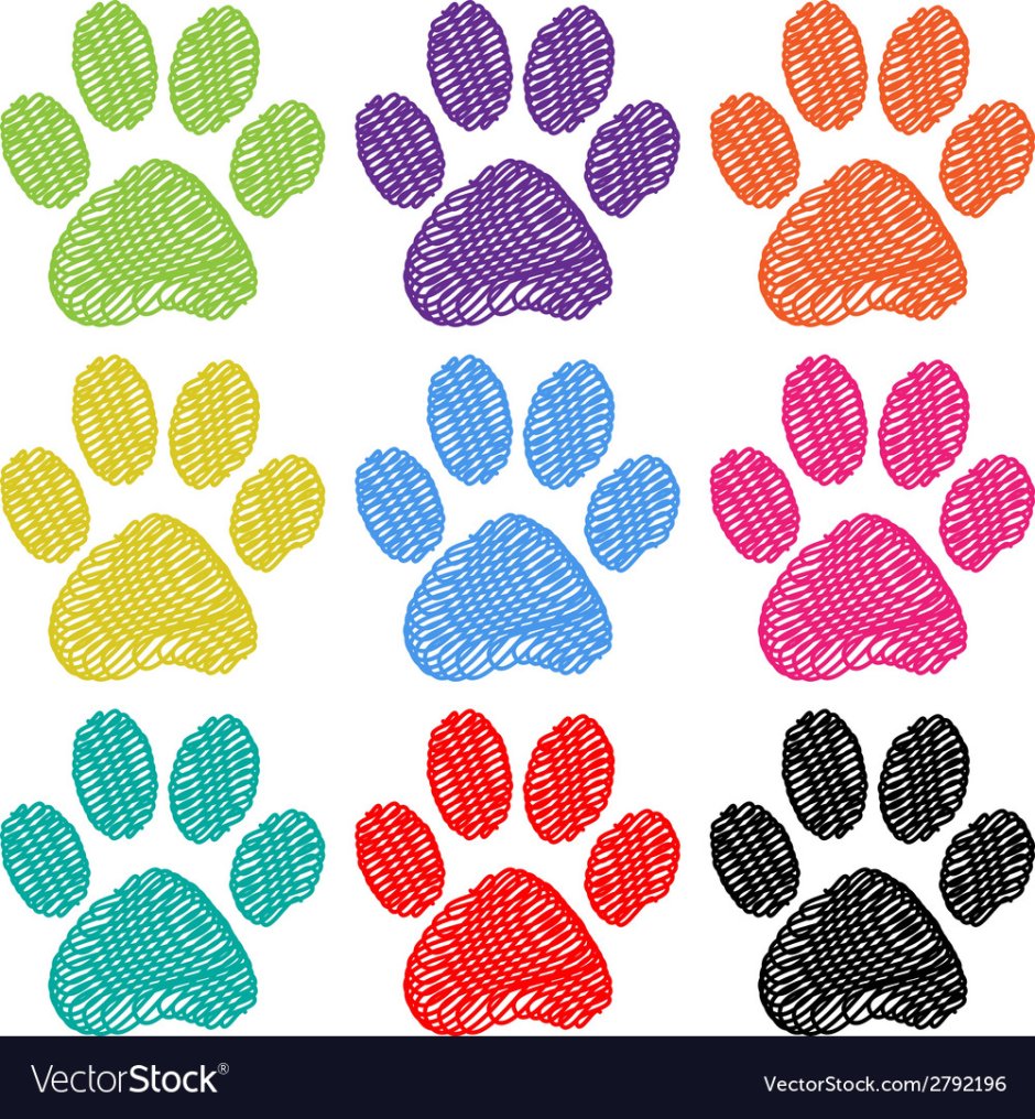 Цветные лапки