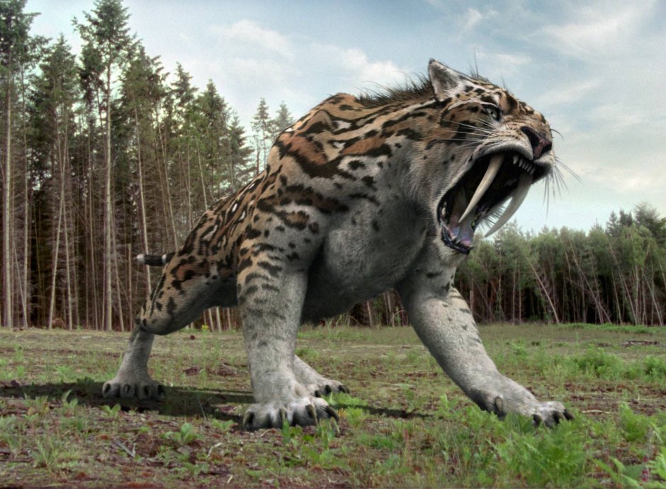 Extinct (вымершие животные)