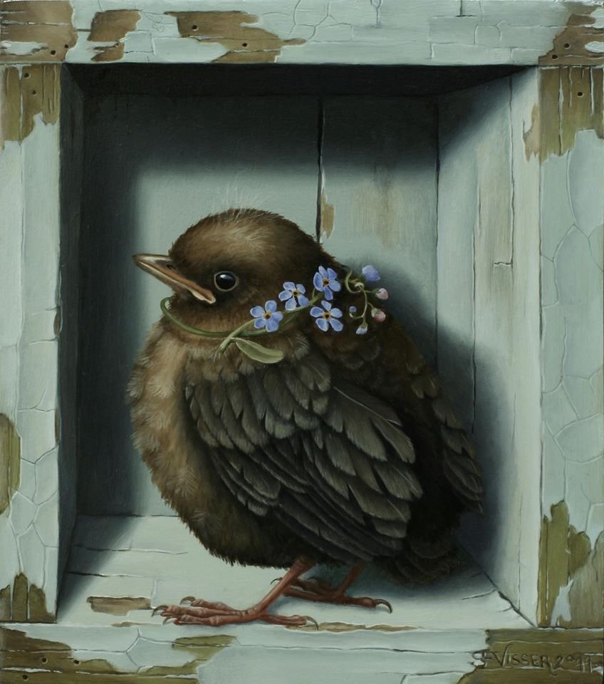 Сюзан Виссер птицы