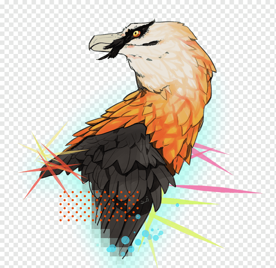 Коршун рисунок