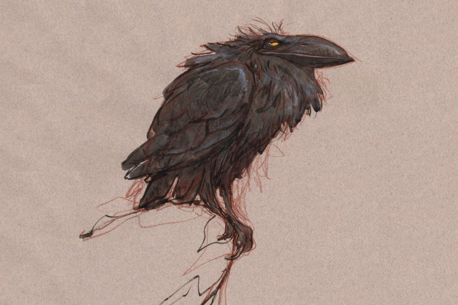 Старый ворон