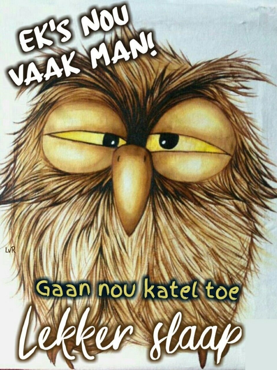 Смешная Сонная Сова