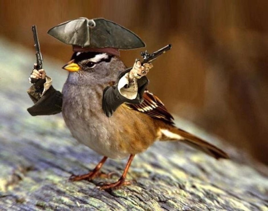 Смешной Воробушек