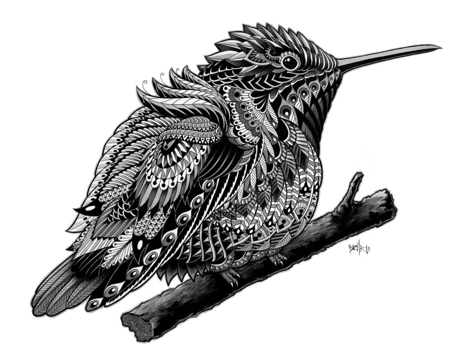 Стилизованные птицы Графика