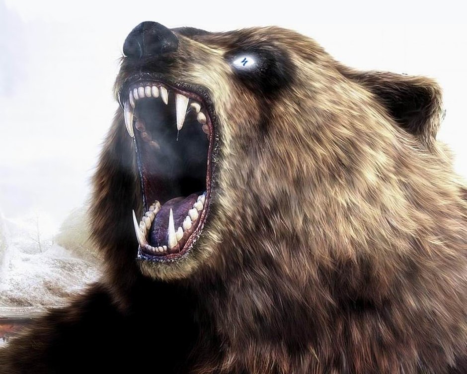 3d футболка Mountain - Grizzly Growl (детский s)