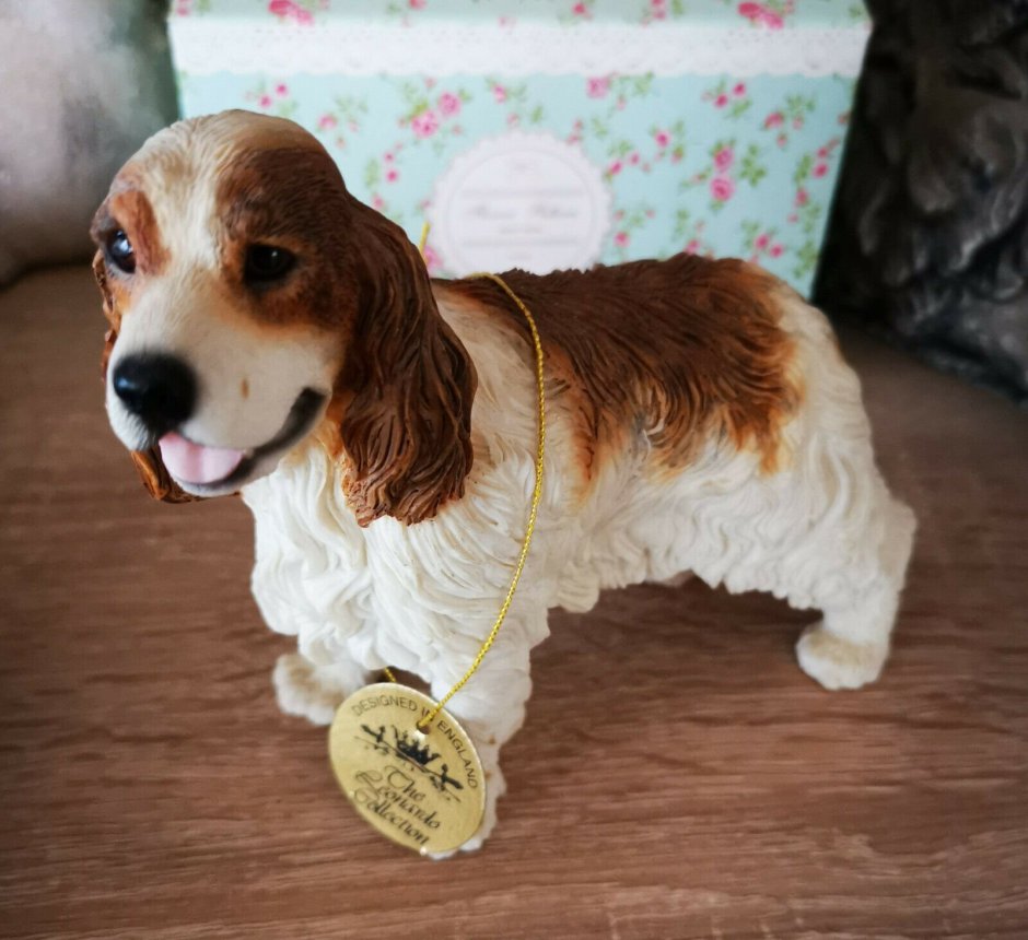 Кокер спаниель гладкошерстный