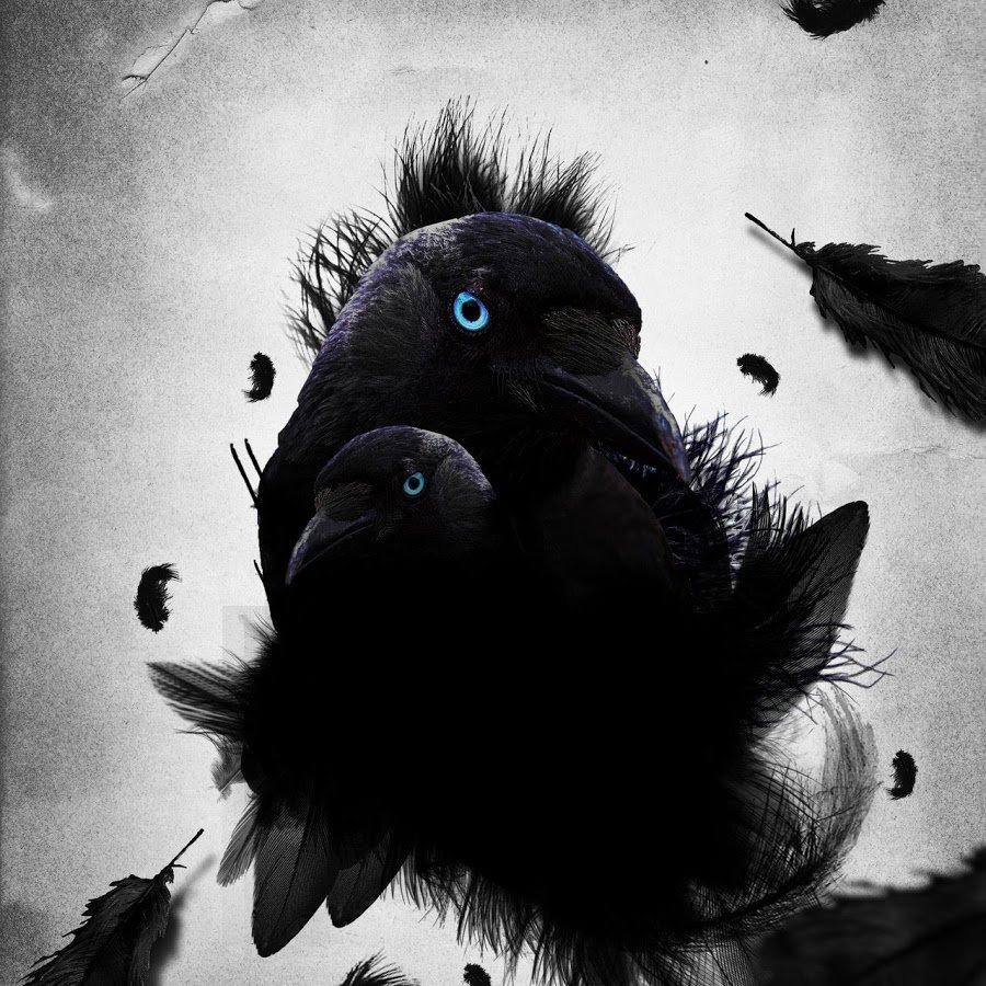 Птенец вороны Неоперенный