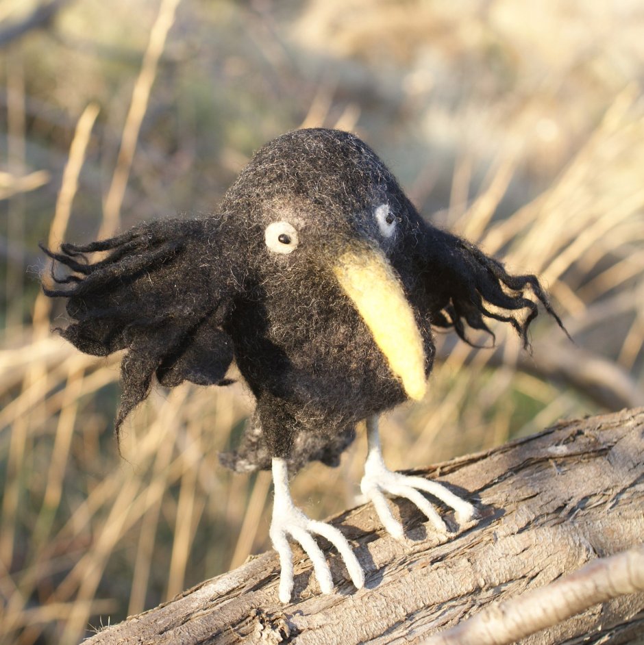 Птенец Грача