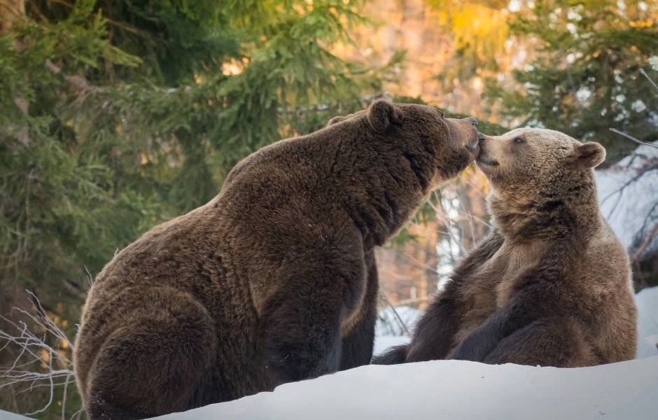 С днем всех влюбленных