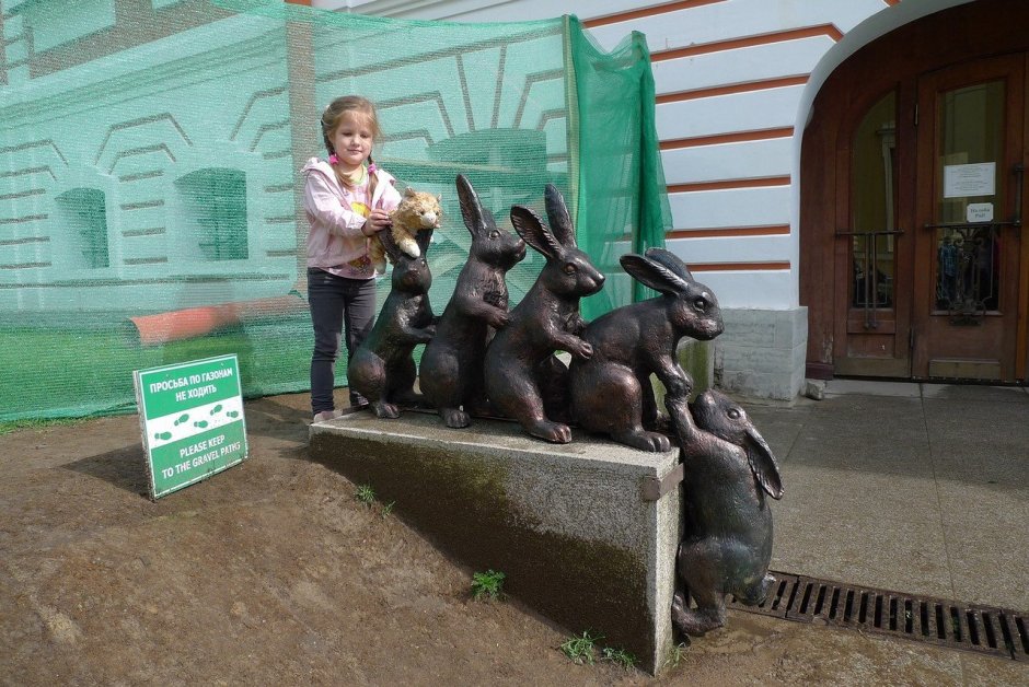 Зайцы Заячьего острова СПБ