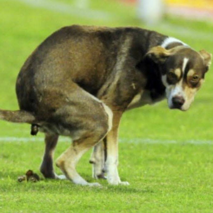 Путин вцепился в стол