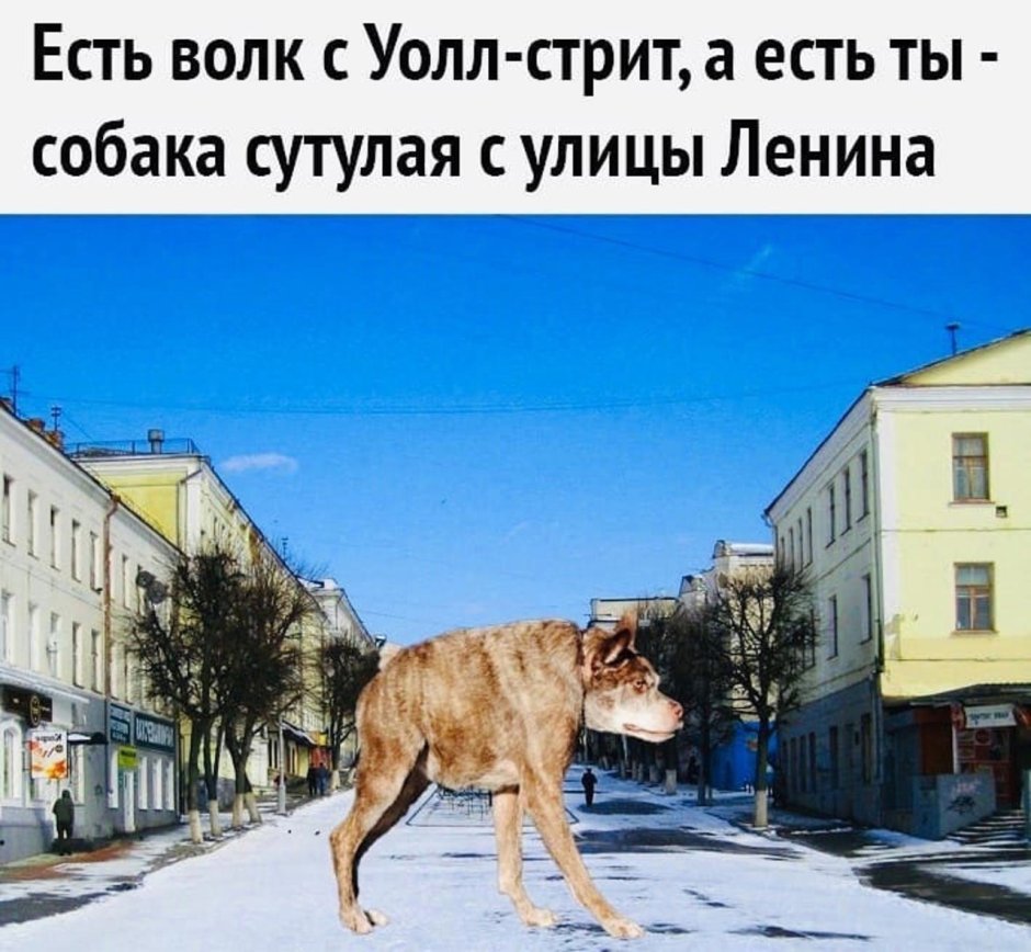 Удачные кадры смешные