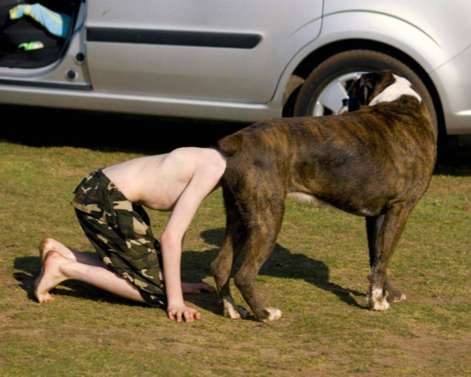 Сутулая овчарка