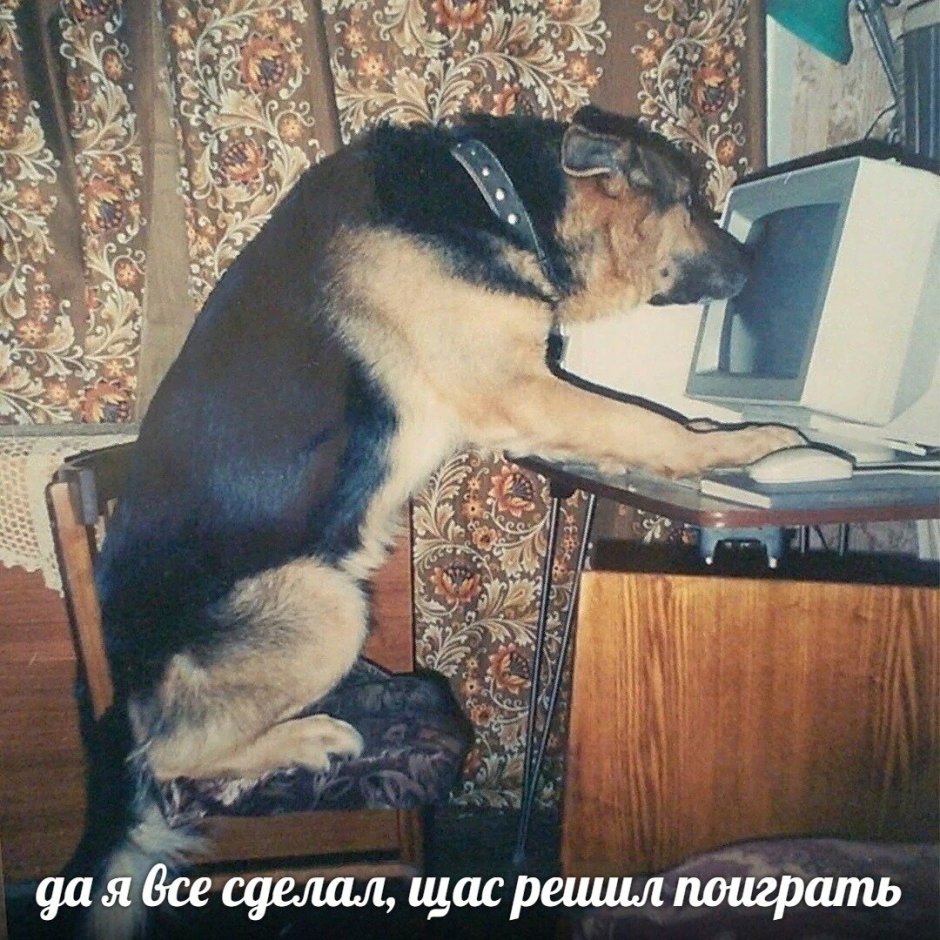 Упоротая лошадь