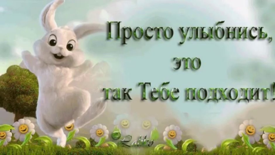 Тайная жизнь домашних животных кро