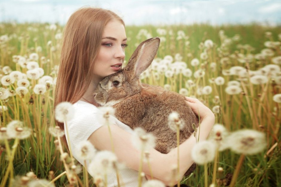 Заяц смеется