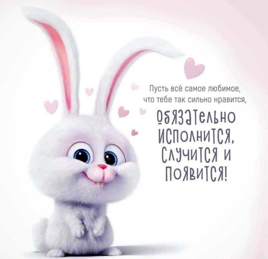 Милые зайчики