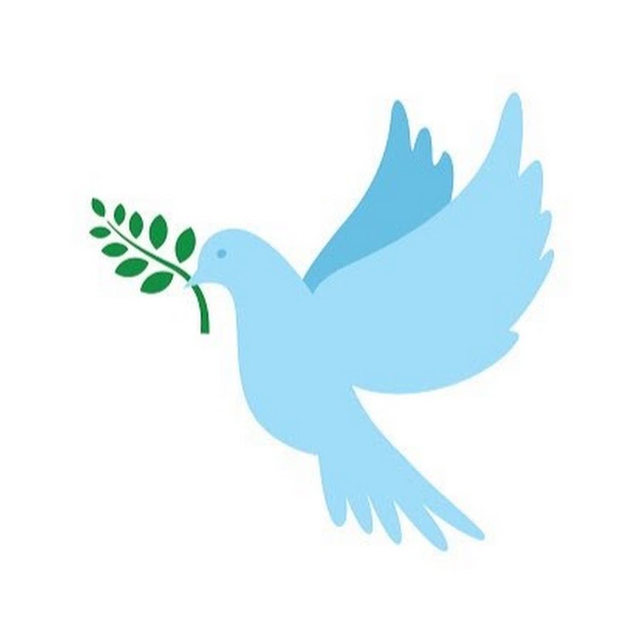 Символ мира голубь с веткой оливы