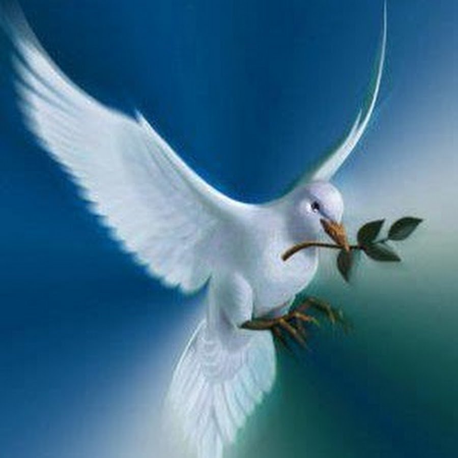 Голубка с веточкой в клюве