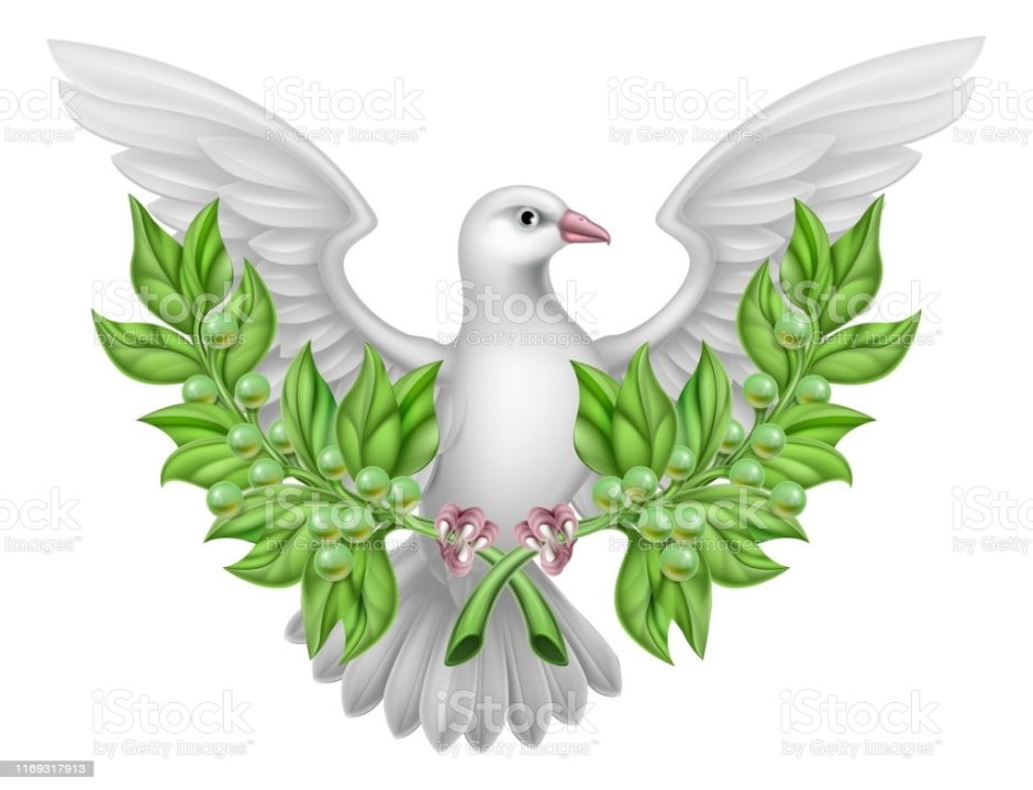 Белый голубь с веточкой в клюве