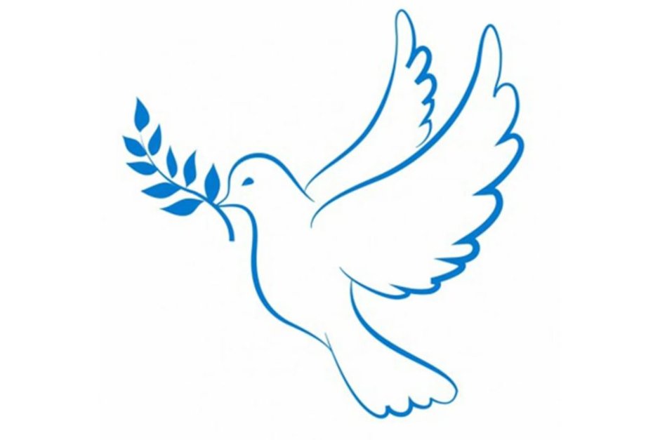 Голубь мира