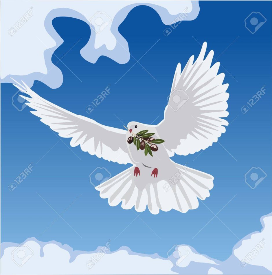 Голубь с оливковой ветвью