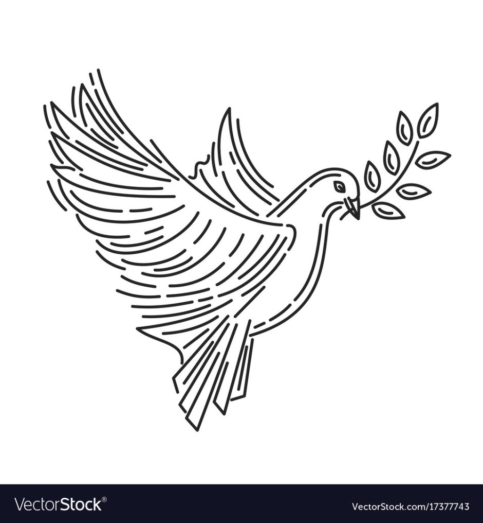 Голубь с Лавровой ветвью