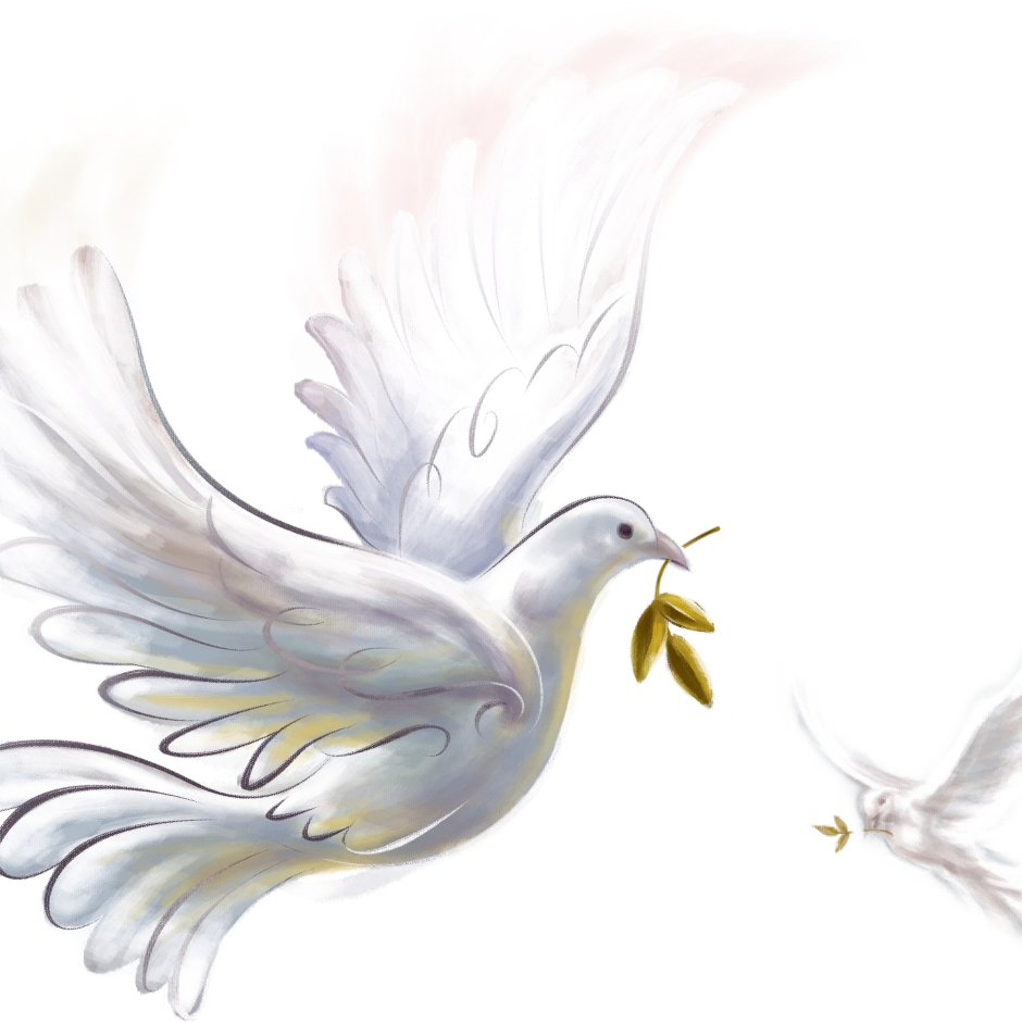 Белый голубь мира