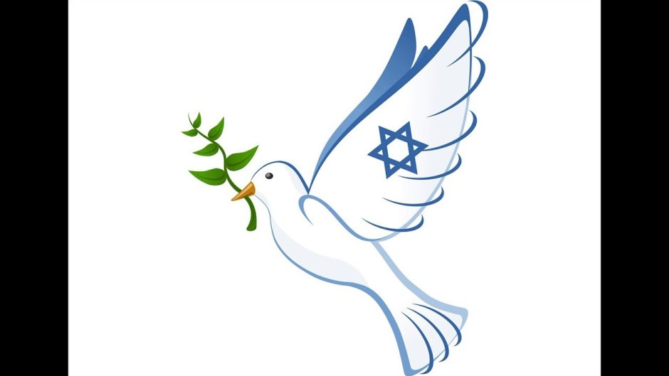 Голубь мира