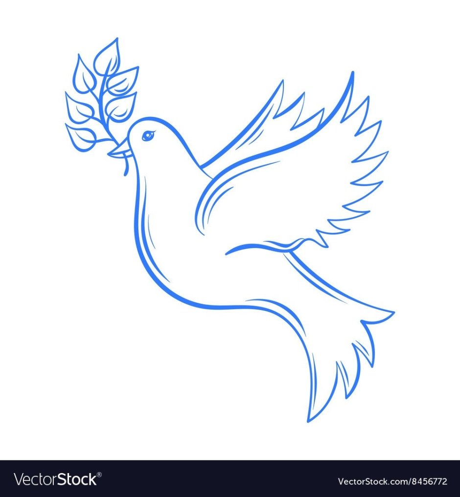 Голубь вектор