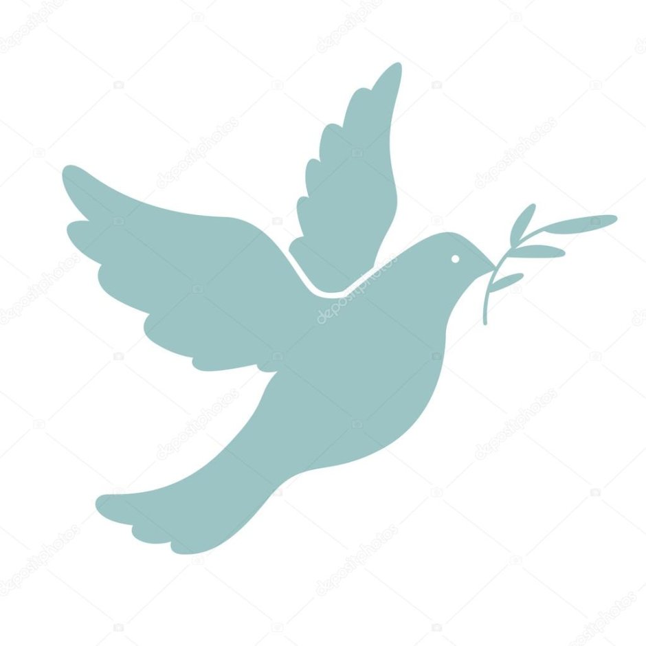 Голубь с оливковой ветвью