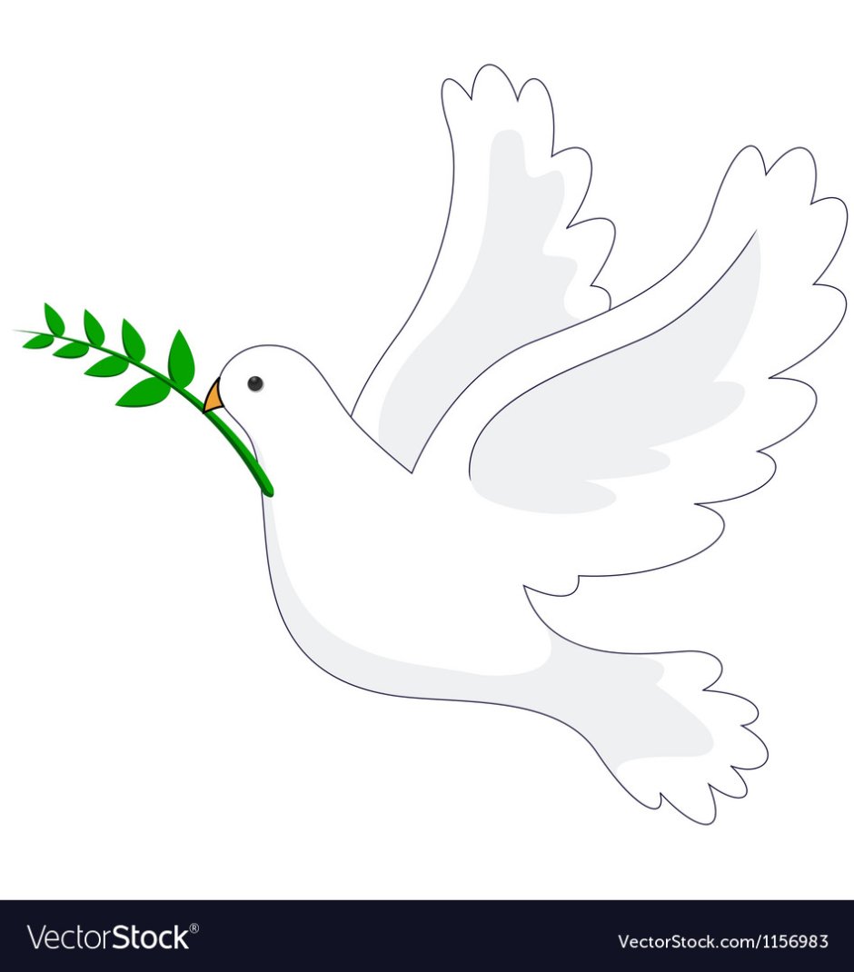 Голубь с зеленой веточкой