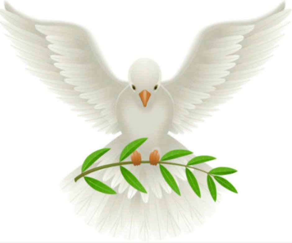Голубь с веточкой