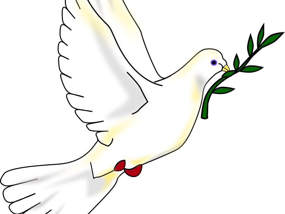 Голубь с веткой в клюве