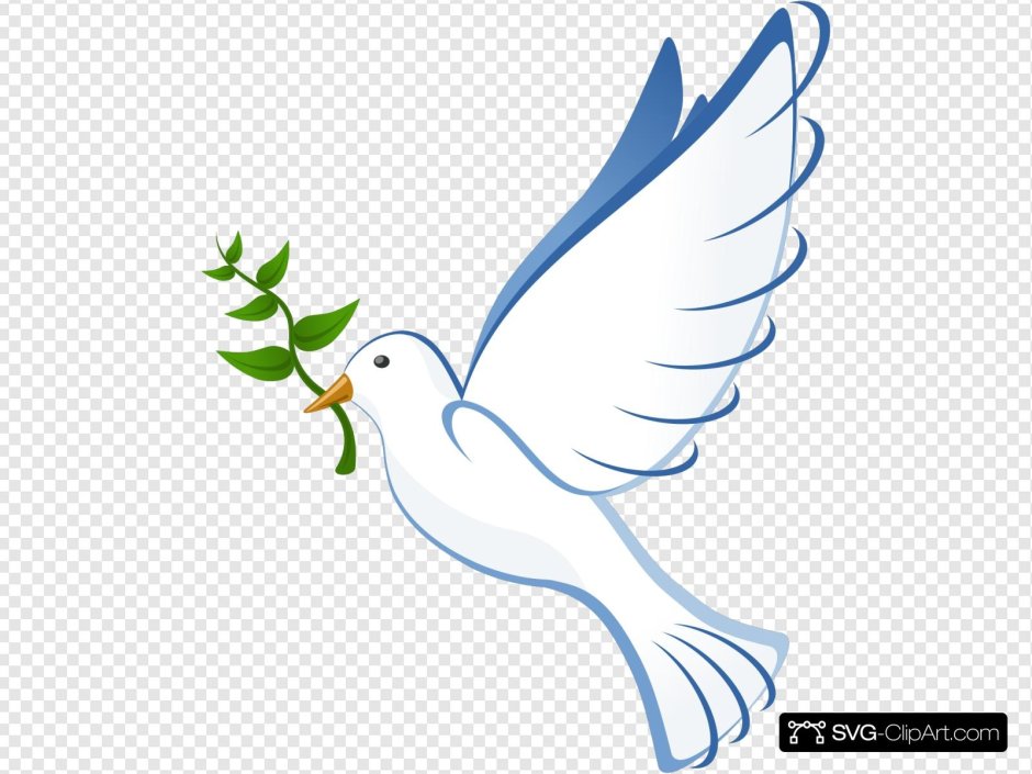 Голубь с веткой в клюве