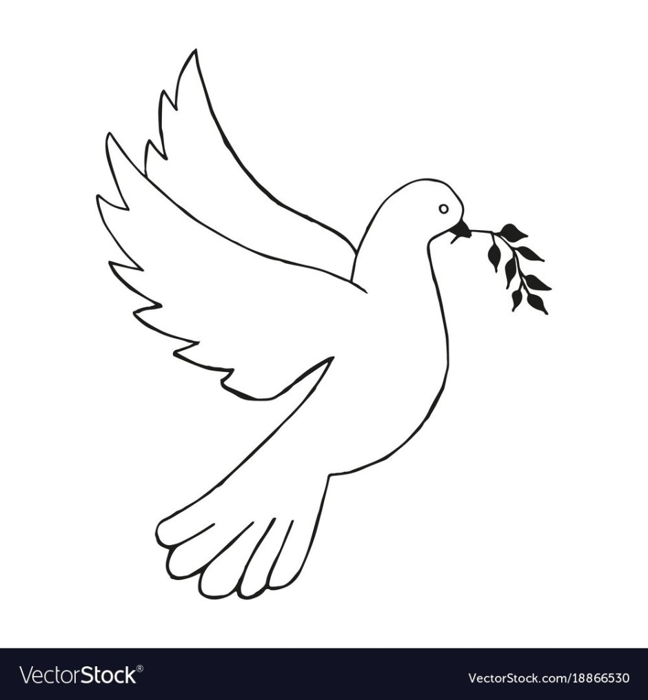 Голубь рисунок шаблон