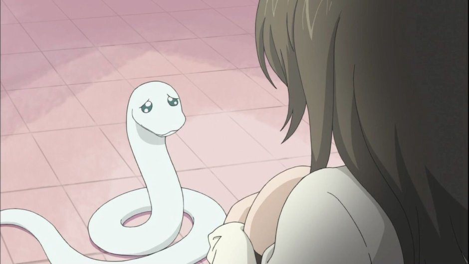 Сетчатый питон нормал