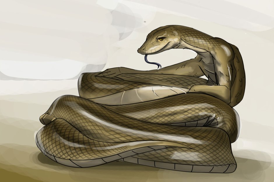 Африканский иероглифовый питон